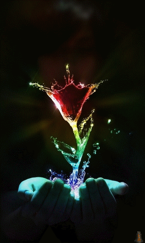 Wallpaper
